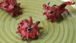 A photo of dried hibiscus flowers.